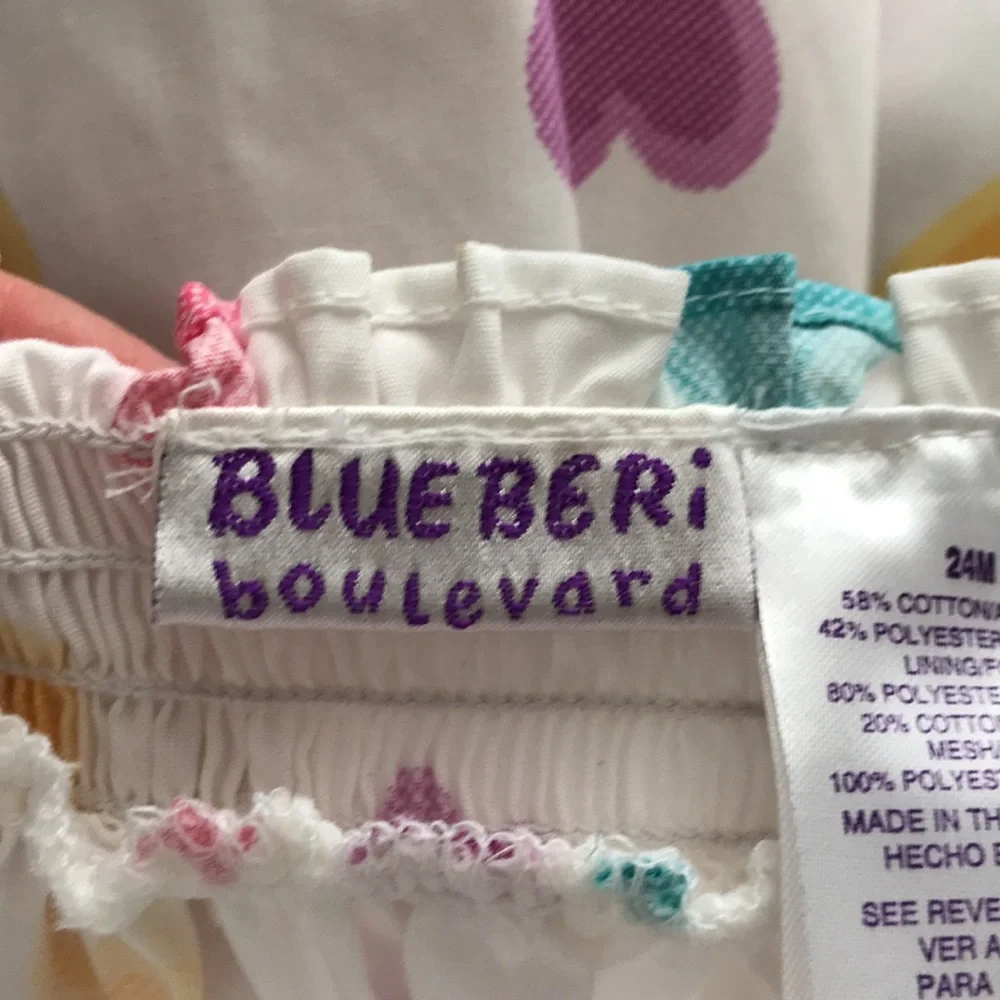 Blueberry Boulevard blueberry boulevard